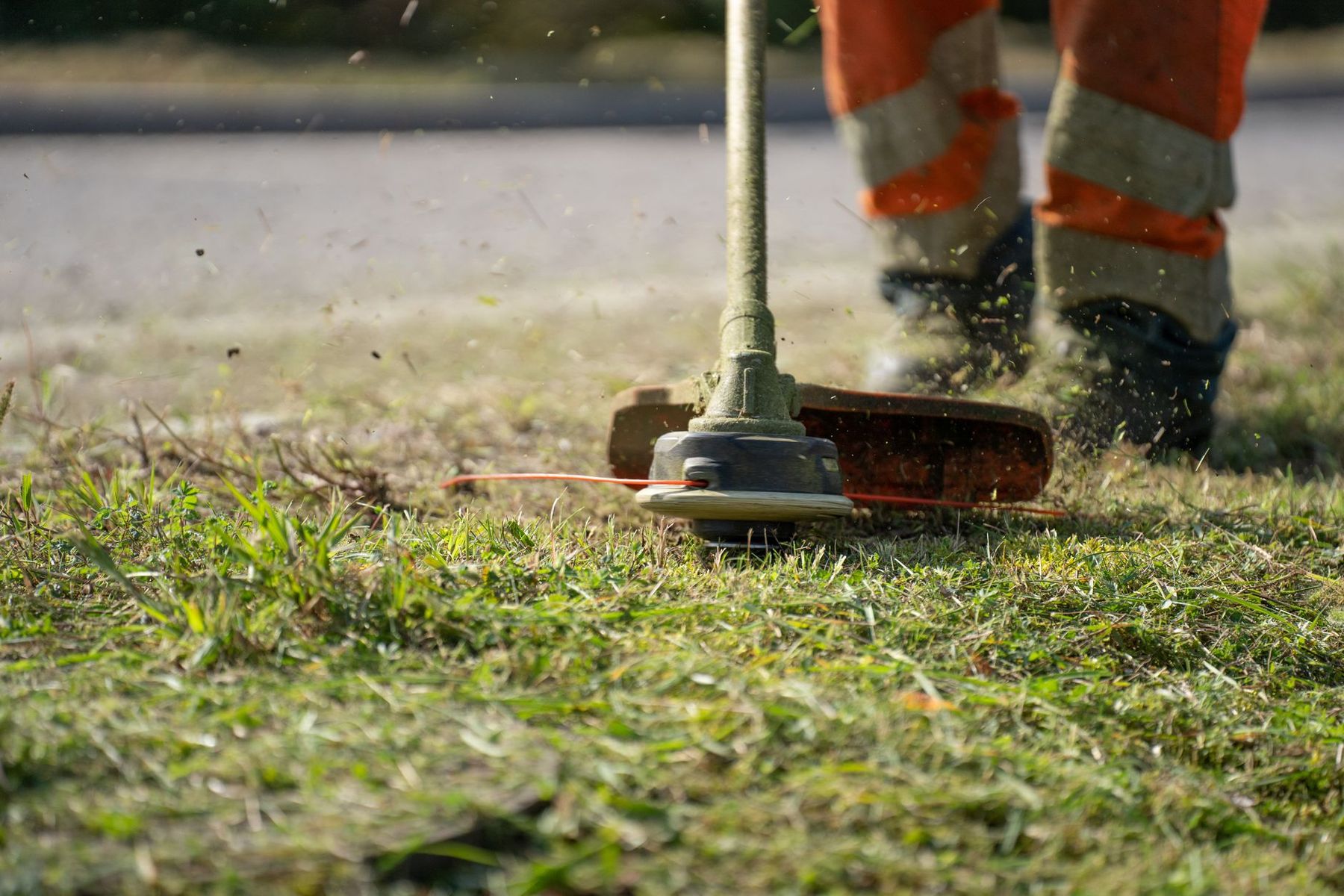 String trimmer cutting a clean edge along green grass